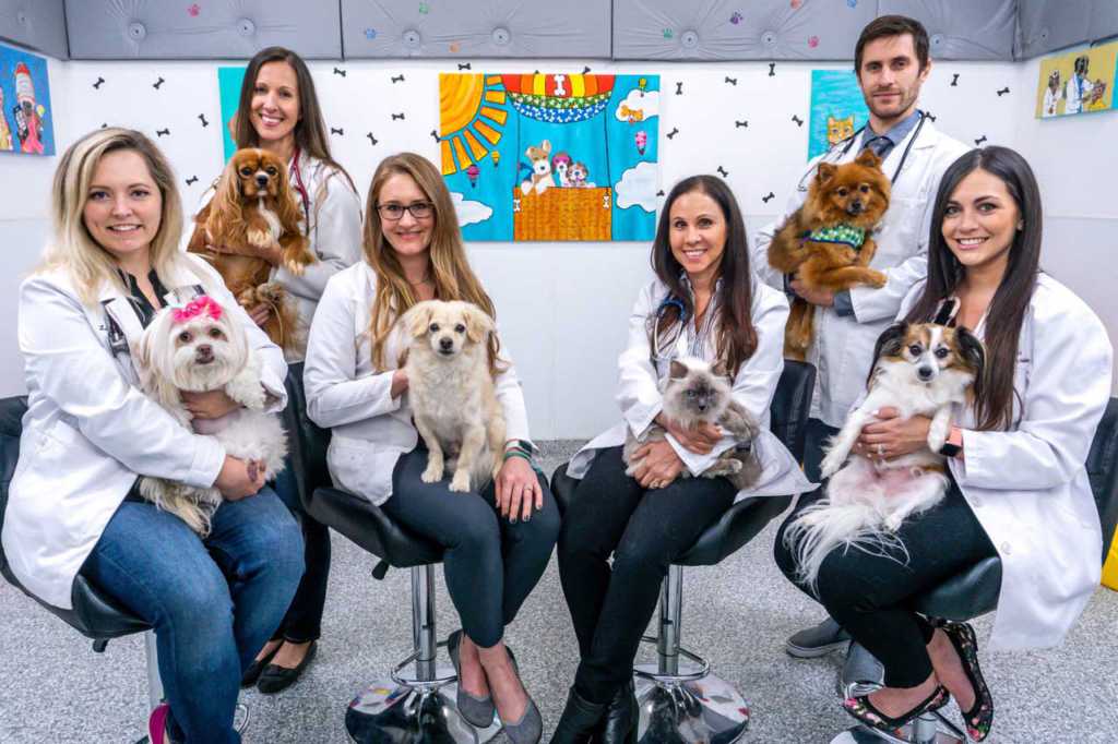 A picture of the Doctors of Boca Veterinary Clinic with dogs and cats.