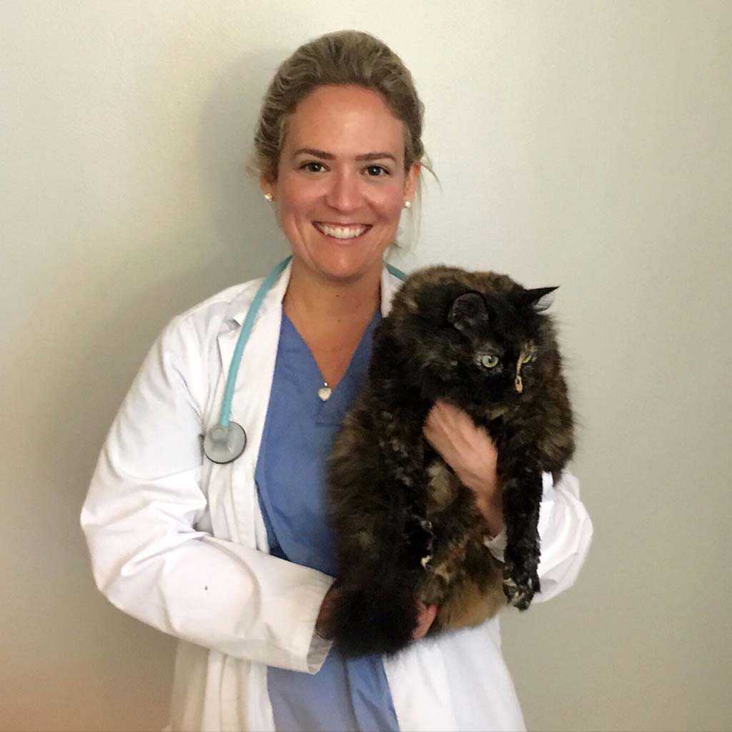 Dr. Elizabeth Aulette Root with a feline patient